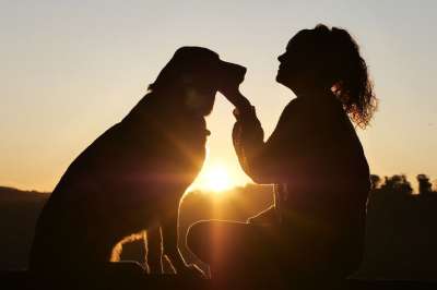 狗 动物 宠物 朋友们 女孩 友谊 犬类 哺乳动物 爱 关心