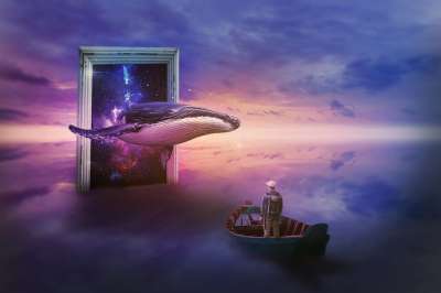 创意 合成 Whale 幻想 Dream 创意 创意 创意 创意