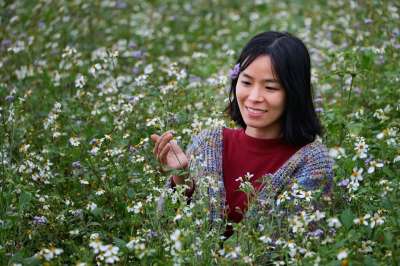 女孩 美丽的女孩 花 乌龟 可爱的 形状 越南 场地 春天