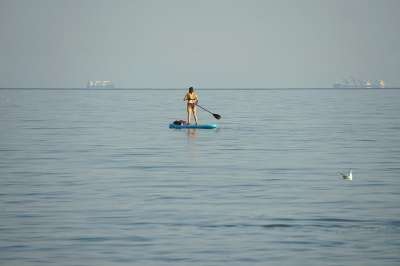 风帆冲浪 冲浪 冲浪者 冲浪板 水上运动 海 海洋 体育 游泳