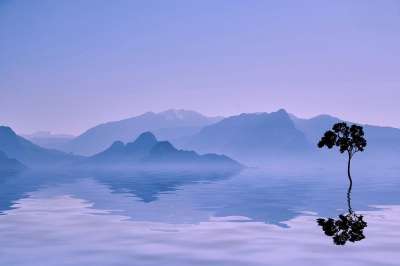山 景观 自然 轮廓 树 海 海洋 反射 下午 山 山 山