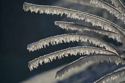 雪晶 冰镇 分行 霜 水晶 冰晶体 冰柱 磨砂 冻结 冰雪覆盖