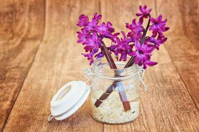风信子 花 开花 粉色的 香 香花 春天的花朵 装饰玻璃 花瓶