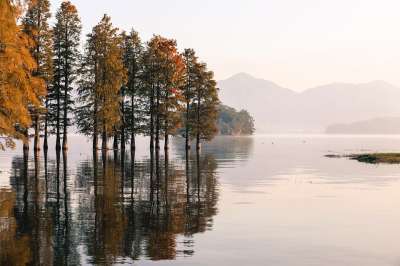湖 森林 自然 景观 水 河 山 树木 风景 户外 天空