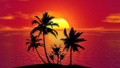 热带 海滩 日落 棕榈树 椰子树 剪影 树剪影 黄昏 暮 夕阳