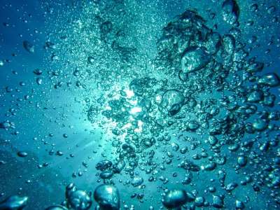 大自然壁纸 自然壁纸 高清壁纸 气泡 水 起泡的 冒泡 潜水