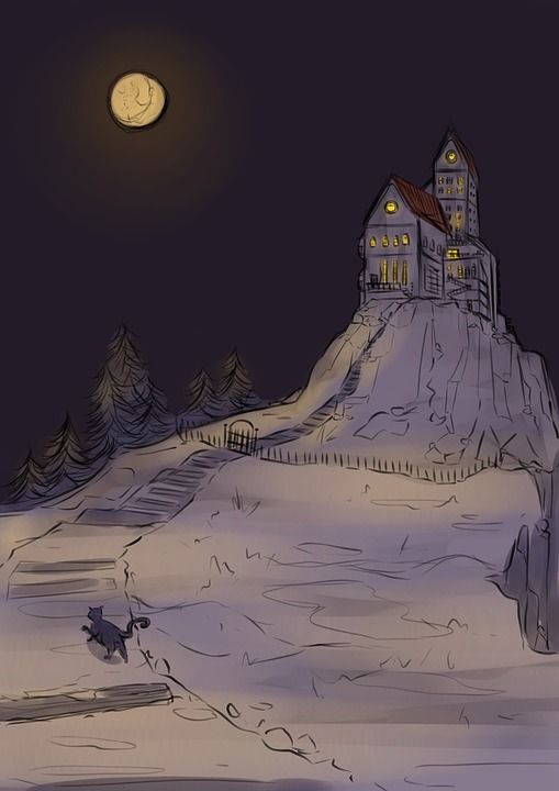 夜晚 故事 优质的 画画 城堡 庄园 猫 树木 森林 哥特