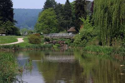 公园 湖 池塘 水 牧场 树 垂柳 桥 Malerwinkel