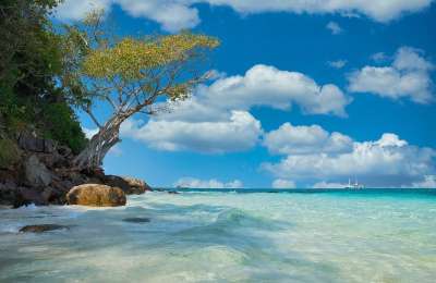 海滩 海 沙 泰国 竹子沙滩 竹子 蓝色的 自然 夏天 假期
