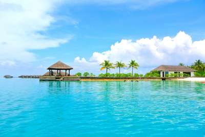 马尔代夫 椰子树 海 采取 夏天 假期 天空 海洋 海滩 旅行