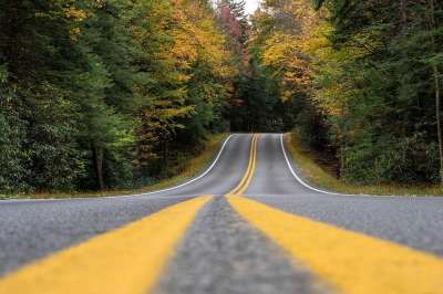 路 景观 秋天 高速公路 落下 森林 树木 国家 路 路 路
