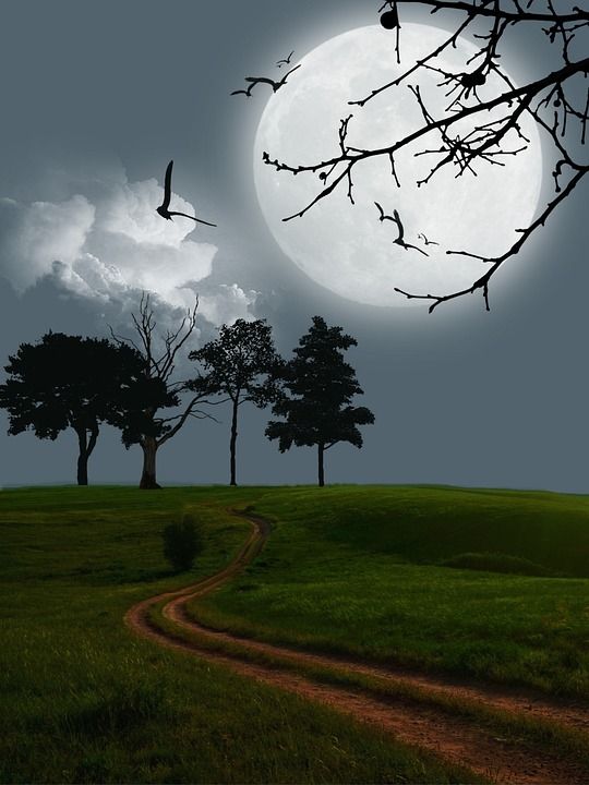 月亮 原野 数字艺术 幻想 夜晚 晚上 黑暗的 满月 踪迹