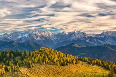 山 阿尔卑斯山 树木 山脉 奥地利 多山 山地景观 高山 针叶树
