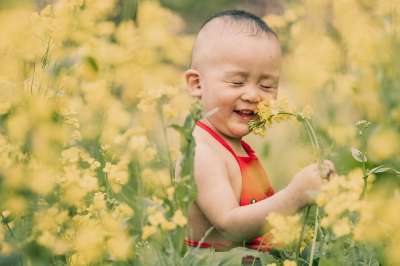 孩子 男孩 花朵 草地 可爱的 年轻 童年 婴儿 学步的儿童