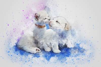 猫 狗 可爱的 艺术 抽象 水彩 优质的 浪漫的 小狗 基蒂