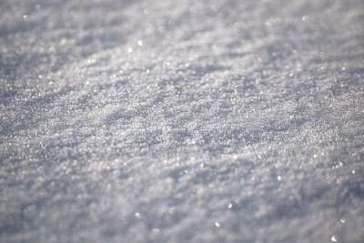 雪 特写 背景 圣诞节 寒冷的 白色的 降雪 冰 冬天 霜