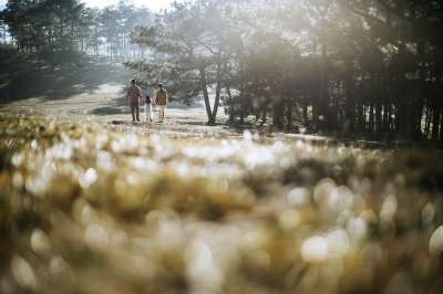 家庭 爱 一起 户外 旅行 家庭 家庭 家庭 家庭 家庭