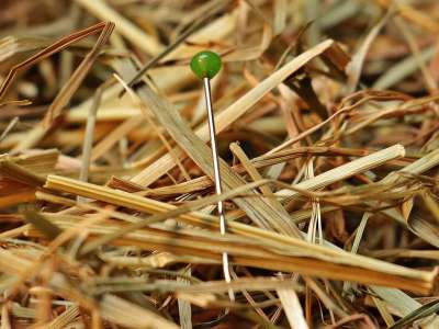 大海捞针 针 干草堆 爱 Pin 寻找 丢失的 干草 谚语