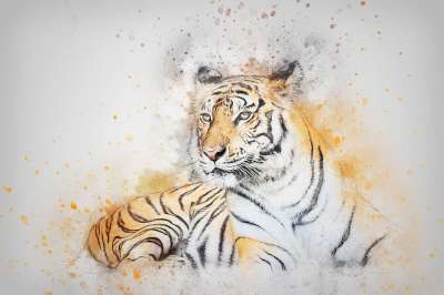 老虎 动物 猫 艺术 抽象 水彩 优质的 丰富多彩的 T恤