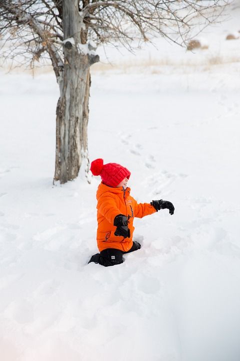 冬天 孩子们 孩子 播放 玩耍 雪 快乐的 乐趣 寒冷的