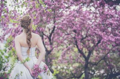 新娘 婚礼 女士 户外 女孩 树木开花 花朵 辫发 婚纱
