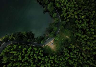森林 路 树木 车 湖 水 荒野 森林 森林 森林 森林