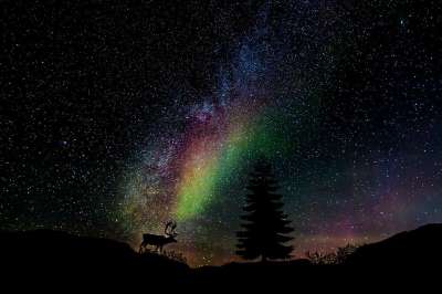 星空 星系 星星 银河 宇宙 夜晚 天堂 自然 景观 鹿