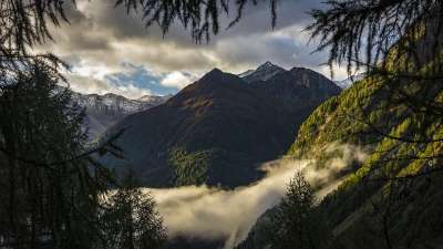 山 多雾路段 树木 云 阿尔卑斯山 高山 谷 情绪 风景秀丽的