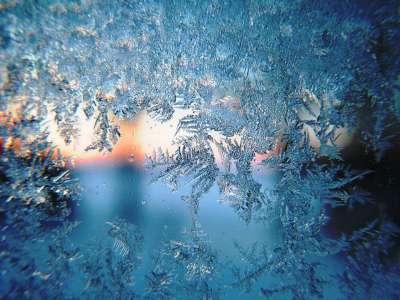 霜 冬天 早晨 雪 季节 白色的 假期 圣诞节 新的 年