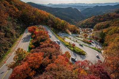 路 高速公路 车辆 交通 曲线 弯路 清路 山 森林 树木
