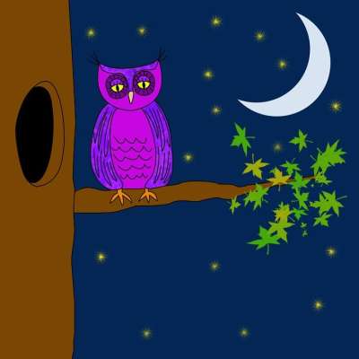 猫头鹰 紫色的 夜晚 星星 月亮 树 树叶 多叶的 枝杈 动物