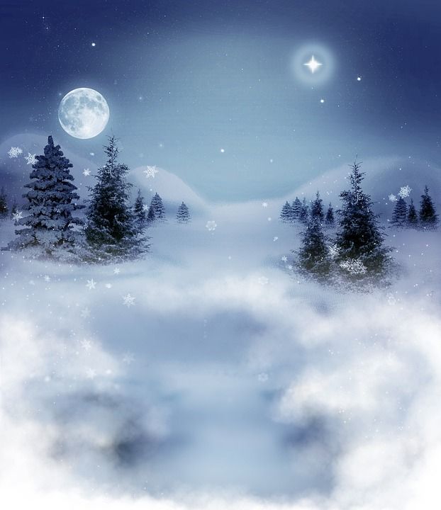 冬天 景观 天空 树木 美丽 雪 蓝色的树 蓝色的美女 蓝色雪