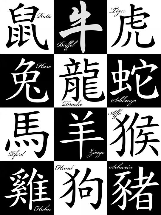 中国 十二生肖 星座 大鼠 水牛 老虎 兔子 龙 线 马