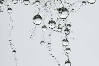 滴 雨滴 突触 网络 小球 水 露 露滴 背景 网络 网络