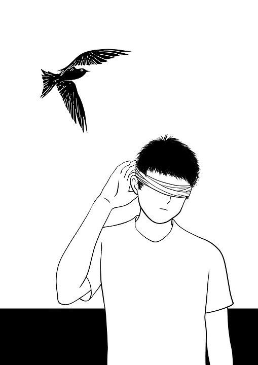 想象力 创造力 插画师 绘画 黑和白 鸟 安静 失明 嗓音