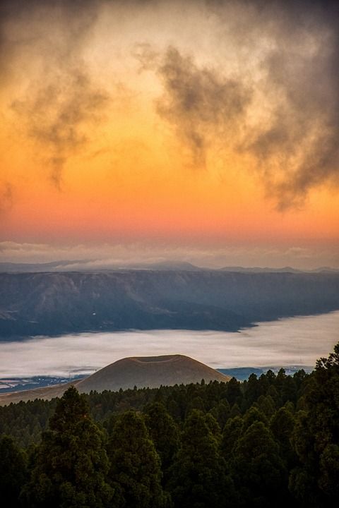 山 森林 树木 植被 地平线 日落 云海 云 日本 熊本 山