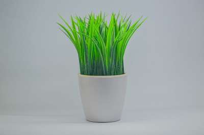 草 室内植物 家居装饰 盆花 人造草