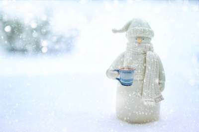 雪人 冬天 雪 下雪的 季节 寒冷的 可爱的 户外 霜 围巾