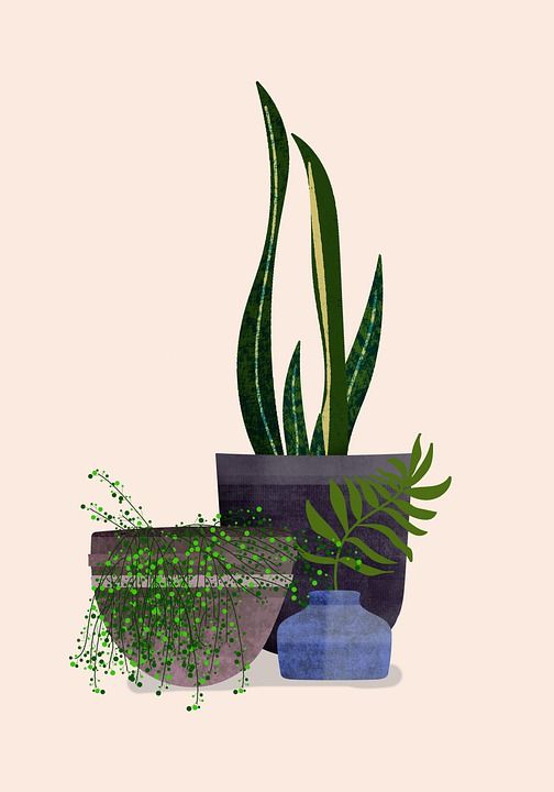 植物 背景 爱好 绿色 叶子 工作表 客厅 绘图 设计 颜色