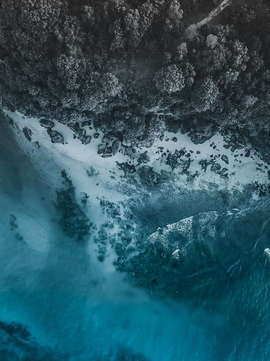 自然 景观 树 天空 大气 风景秀丽的 光 树木