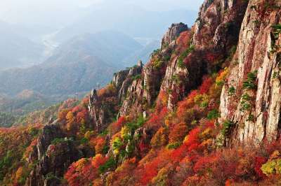 山 秋天的树叶 秋季 景观 叶 叶子 树 户外的 风光 岩
