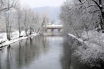 冬天 雪 水域 树 自然 图特林根 巴登 符腾堡 德国 欧洲