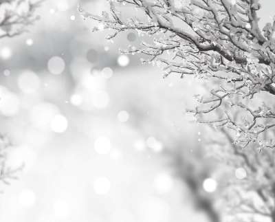 雪 树 阿卜杜勒 拉赫曼 火花 美丽的 冬天 湖 池塘 圣诞节
