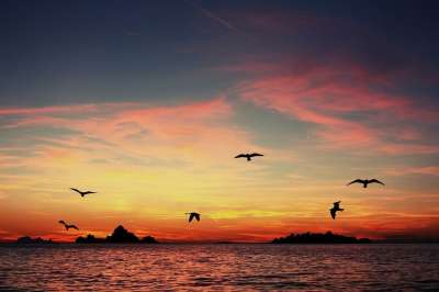 日落 海 太阳 傍晚的天空 海滩 阳光 克罗地亚 云 太阳和大海