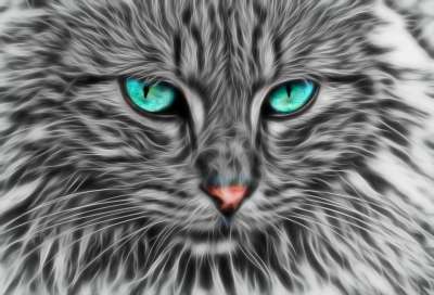 分形 分形猫 猫艺术 猫 动物 猫科动物 毛皮 盯 宠物 眼睛