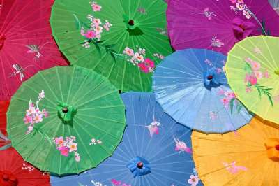 阳伞 中国 亚洲伞 亚洲 亚洲人 节日 纸遮阳伞 纸伞 日本人