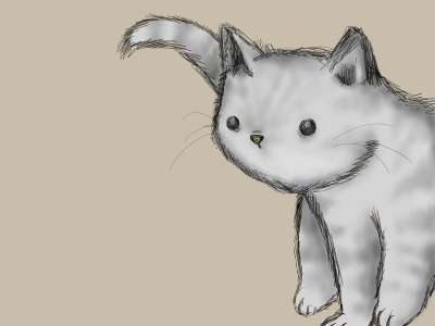 小猫 猫 可爱猫咪 宠物 可爱的 动物 猫科动物 甜的 灰色的猫
