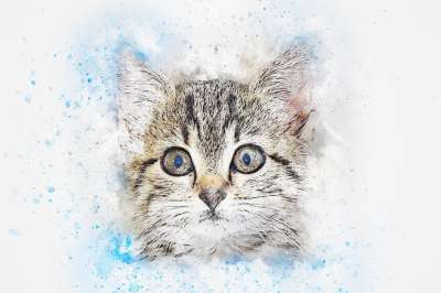 猫 动物 艺术 抽象 水彩 优质的 浪漫的 感情 艺术的 T恤