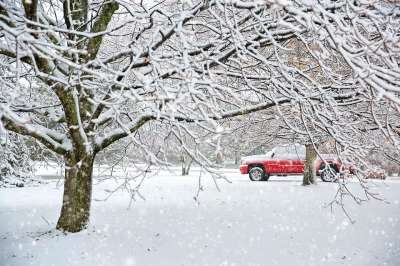 卡车 雪 冬天 自然 景观 树木 红色卡车 圣诞节 寒冷的