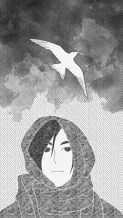 想象力 创造力 插画师 绘画 黑和白 鸟 草 风 阴天 女孩